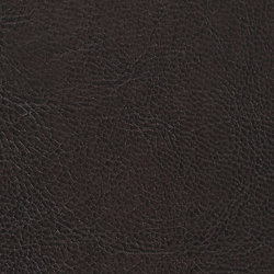 Inglestone common executive chair Clearance